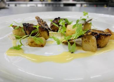 Seared scallops, miso glaze, sesame puree & verjus cream