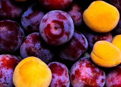 Plums