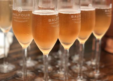 Several flutes of sparkling wine set on a table, each glass marked with "Balfour" and "Hush Heath Estate.